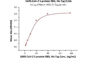 Immobilized Human ACE2, Fc Tag (ABIN6952465) at 2 μg/mL (100 μL/well) can bind SARS-CoV-2 S protein RBD, His Tag (ABIN6952628) with a linear range of 2-39 ng/mL (QC tested).