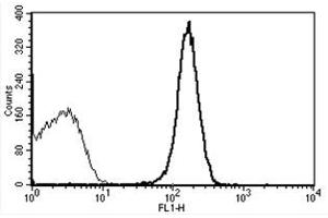 Flow Cytometry (FACS) image for anti-Platelet/endothelial Cell Adhesion Molecule (PECAM1) antibody (FITC) (ABIN1106260) (CD31 antibody  (FITC))