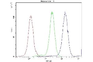 Flow Cytometry analysis of A549 cells using anti-ATXN3 antibody (ABIN3043796).