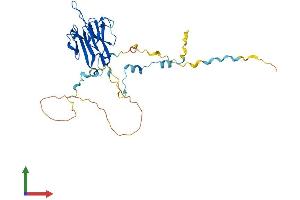 Protein Structure (PS) image for Multivesicular Body Subunit 12B (MVB12B) (AA 1-319) protein (His tag) (ABIN7549274)