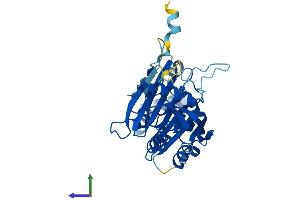 AlphaFold protein structure predicition of Mouse Recombinant Rpp40 Protein, UniprotID Q8R1F9 (RPP40 Protein (AA 1-363) (His tag))