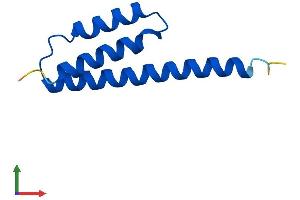 AlphaFold protein structure predicition of Mouse Recombinant Etfrf1 Protein, UniprotID Q91V16