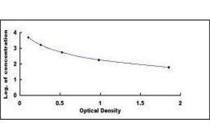 ELISA image for Gastric Inhibitory Polypeptide (GIP) ELISA Kit (ABIN415411)