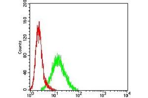 Flow Cytometry (FACS) image for anti-Cyclin-Dependent Kinase Inhibitor 1C (p57, Kip2) (CDKN1C) antibody (ABIN7193626)