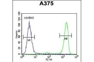 IT Antibody (N-term) (ABIN651135 and ABIN2840091) flow cytometric analysis of  cells (right histogram) comred to a negative control cell (left histogram).