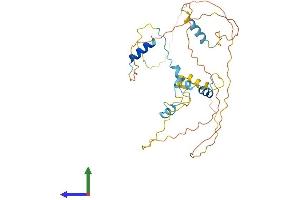 Protein Structure (PS) image for Apoptosis, Caspase Activation Inhibitor (AVEN) (AA 1-342) protein (His tag) (ABIN7561173)