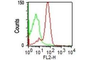 Flow Cytometry of PBMC using CD43 Monoclonal Antibody (SPM503) (red) or isotype control (green) (CD43 antibody)