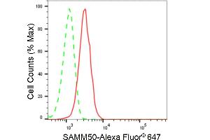 Flow cytometric analysis of SAMM50 expression in HeLa cells using SAMM50 antibody (ABIN7800407), 1:2,000). (Recombinant SAMM50 antibody)