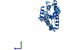 AlphaFold protein structure predicition of Human Recombinant UNC50 Protein, UniprotID Q53HI1 (UNC50 Protein (AA 1-259) (His tag))
