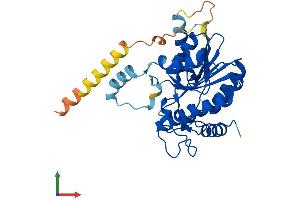 Protein Structure (PS) image for Retinol Dehydrogenase 14 (All-Trans/9-Cis/11-Cis) (RDH14) (AA 1-334) protein (His tag) (ABIN7561438)