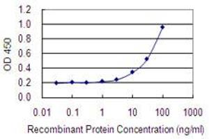Detection limit for recombinant GST tagged ASB5 is 1 ng/ml as a capture antibody. (ASB5 antibody  (AA 220-328))
