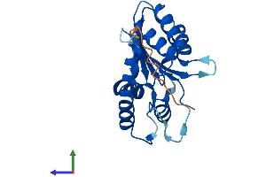 AlphaFold protein structure predicition of Human Recombinant APOBEC3H Protein, UniprotID Q6NTF7 (APOBEC3H Protein (AA 1-200) (His tag))