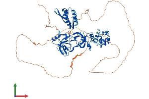 AlphaFold protein structure predicition of Human Recombinant SCMH1 Protein, UniprotID Q96GD3