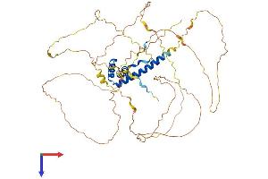 TOX Protein (AA 1-526) (His tag)
