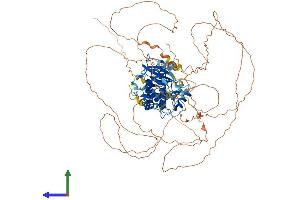 Protein Structure (PS) image for Microtubule Associated serine/threonine Kinase-Like (MASTL) (AA 1-865) protein (His tag) (ABIN7564485)