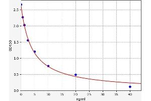 Enkephalin ELISA Kit
