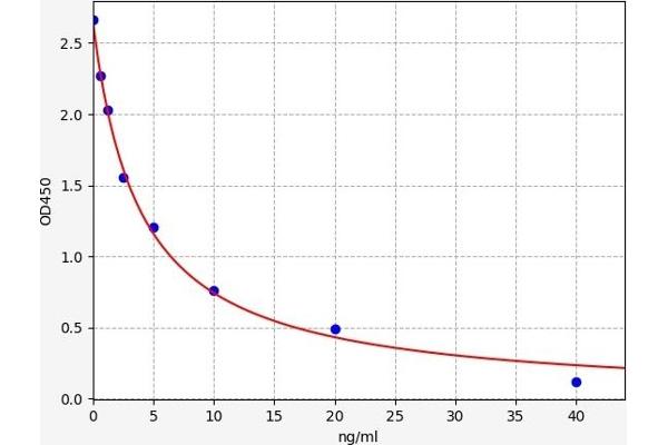 Enkephalin ELISA Kit