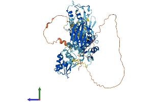 AlphaFold protein structure predicition of Mouse Recombinant Smurf1 Protein, UniprotID Q9CUN6 (SMURF1 Protein (AA 1-731) (His tag))