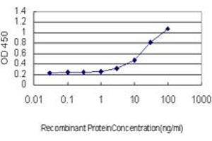 Detection limit for recombinant GST tagged BCAS2 is approximately 1ng/ml as a capture antibody. (BCAS2 antibody  (AA 116-225))