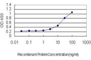 Detection limit for recombinant GST tagged BCAS2 is approximately 1ng/ml as a capture antibody.