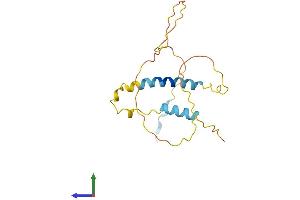 Protein Structure (PS) image for BCL2-Associated Agonist of Cell Death (BAD) (AA 1-168) protein (His tag) (ABIN7552692)