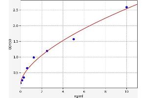 RRM1 ELISA Kit