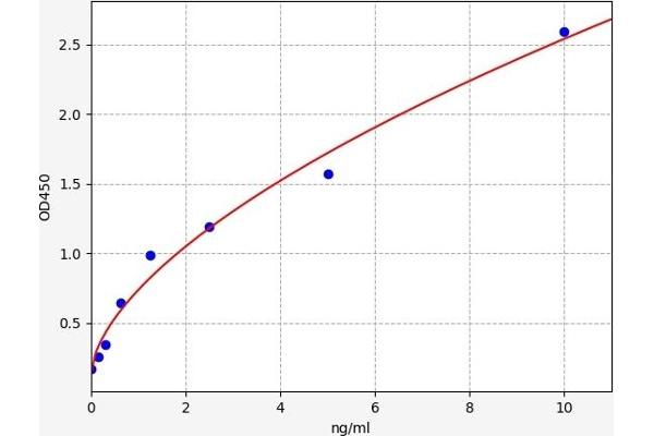 RRM1 ELISA Kit