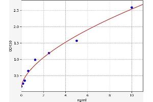 Typical standard curve (RRM1 ELISA Kit)