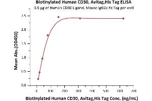 ELISA image for Tumor Necrosis Factor Receptor Superfamily, Member 8 (TNFRSF8) (AA 19-379) (Active) protein (His tag,AVI tag,Biotin) (ABIN3137687)