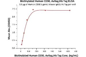 Immobilized Human CD30 Ligand, Mouse IgG2a Fc Tag, low endotoxin (ABIN5954987,ABIN6253579) at 5 μg/mL (100 μL/well) can bind Biotinylated Human CD30, Avitag,His Tag (ABIN3137687,ABIN5674026) with a linear range of 10-78 ng/mL (QC tested). (TNFRSF8 Protein (AA 19-379) (His tag,AVI tag,Biotin))