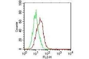 Anti-IL-17E Antibody - Flow Cytometry Cells: PC3 cells Primary antibody: 1 ug of IL-17E (red), control (green) Secondary antibody: anti-mouse IgG PE conjugated secondary antibody