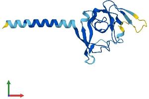Protein Structure (PS) image for IMP1 Inner Mitochondrial Membrane Peptidase-Like (IMMP1L) (AA 1-166) protein (His tag) (ABIN7548579)