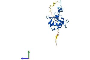 AlphaFold protein structure predicition of Human Recombinant MRPL49 Protein, UniprotID Q13405