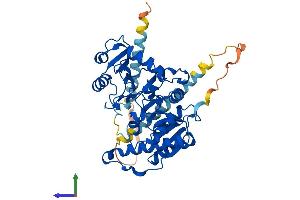 AlphaFold protein structure predicition of Human Recombinant MGAT1 Protein, UniprotID P26572
