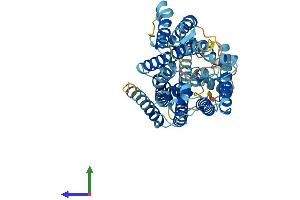AlphaFold protein structure predicition of Human Recombinant TMEM104 Protein, UniprotID Q8NE00 (TMEM104 Protein (AA 1-496) (His tag))