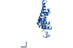 Protein Structure (PS) image for IMP3, U3 Small Nucleolar Ribonucleoprotein (IMP3) (AA 1-184) protein (His tag) (ABIN7560209)