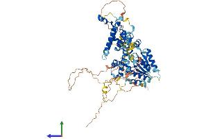 Protein Structure (PS) image for RAD17 (RAD17) (AA 1-681) protein (His tag) (ABIN7555145)