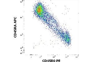 Flow Cytometry (FACS) image for anti-Chemokine (C-C Motif) Ligand 20 (CCL20) antibody (PE) (ABIN192398)