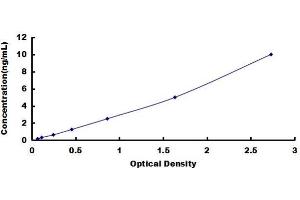 Leptin Receptor (LEPR) ELISA Kit