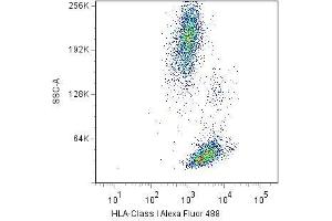 Surface staining of human peripheral blood cells with anti-HLA-class I(W6/32) Alexa Fluor® 488. (MICA antibody)
