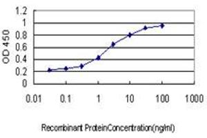 Detection limit for recombinant GST tagged F12 is approximately 0. (F12 antibody  (AA 191-300))