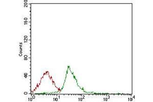 Flow cytometric analysis of Jurkat cells using CD74 mouse mAb (green) and negative control (red). (CD74 antibody  (AA 1-106))
