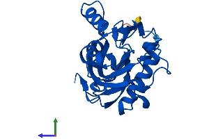 AlphaFold protein structure predicition of Mouse Recombinant Idi2 Protein, UniprotID Q8BFZ6