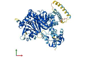 Protein Structure (PS) image for Acyl-CoA Synthetase Long-Chain Family Member 3 (Acsl3) (AA 1-720) protein (His tag) (ABIN7564966)
