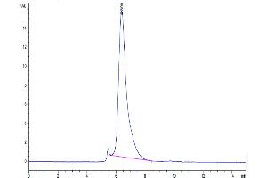 The purity of Human IL-17R alpha/CD217 is greater than 95 % as determined by SEC-HPLC. (IL17RA Protein (AA 33-320) (His tag))