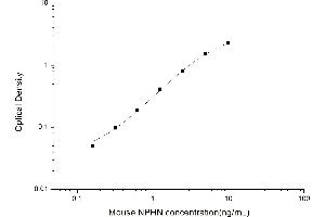 Typical standard curve (Nephrin ELISA Kit)