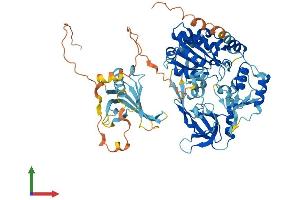 AlphaFold protein structure predicition of Mouse Recombinant Pif1 Protein, UniprotID Q80SX8 (PIF1 Protein (AA 1-650) (His tag))