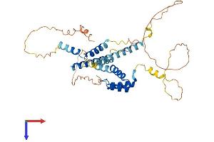 MEIS3 Protein (AA 1-378) (His tag)