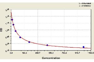 ELISA image for Amyloid beta 1-42 (Abeta 1-42) ELISA Kit (ABIN1118192) (Abeta 1-42 ELISA Kit)