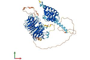 AlphaFold protein structure predicition of Mouse Recombinant Katnb1 Protein, UniprotID Q8BG40 (KATNB1 Protein (AA 1-658) (His tag))